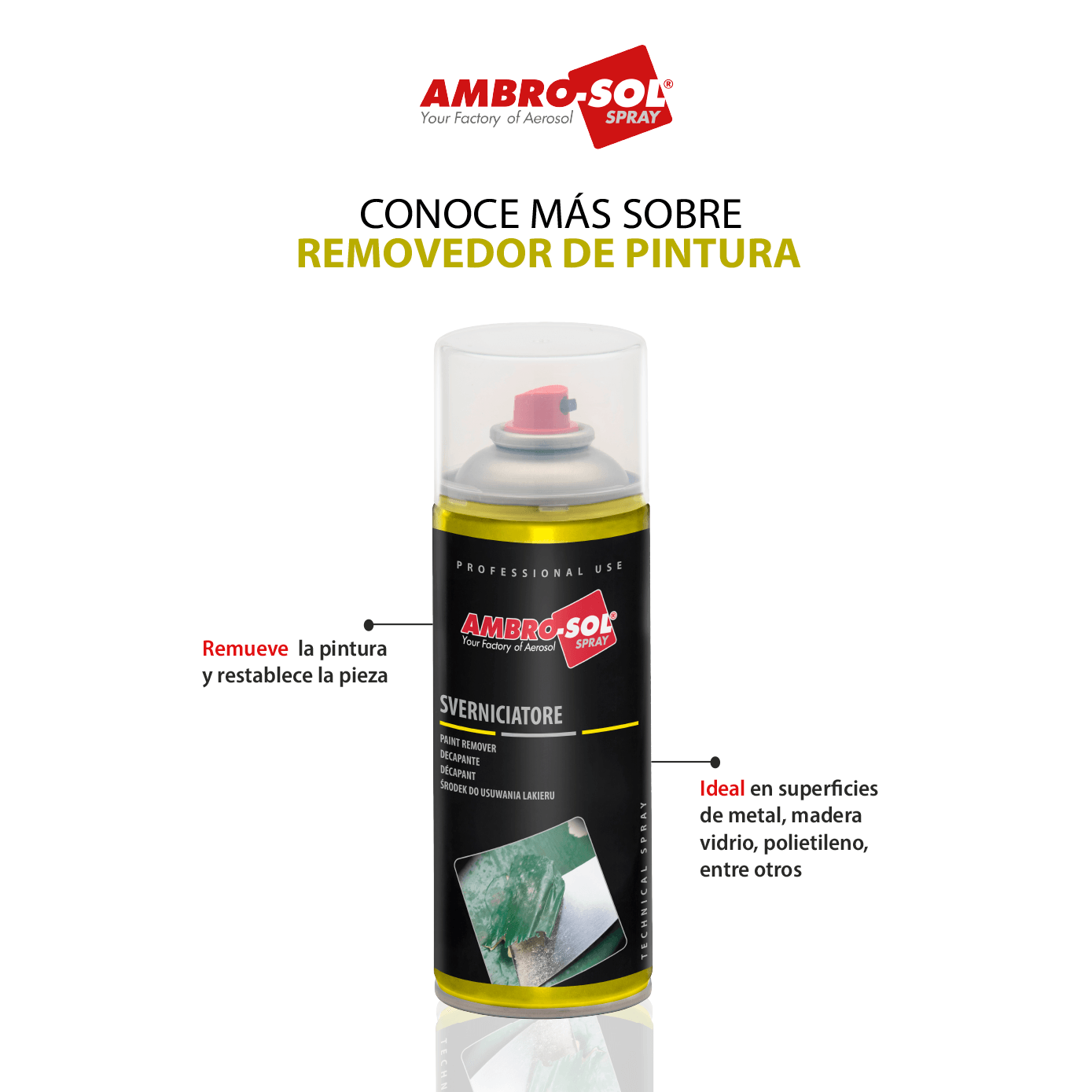 Removedor de Pinturas Ambrosol 400 ML